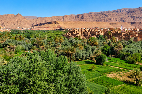 From Ouarzazate: 3-Day Sahara Tour & Camel Trek to Marrakech Sahara Luxury Camp Escape – Recommended
