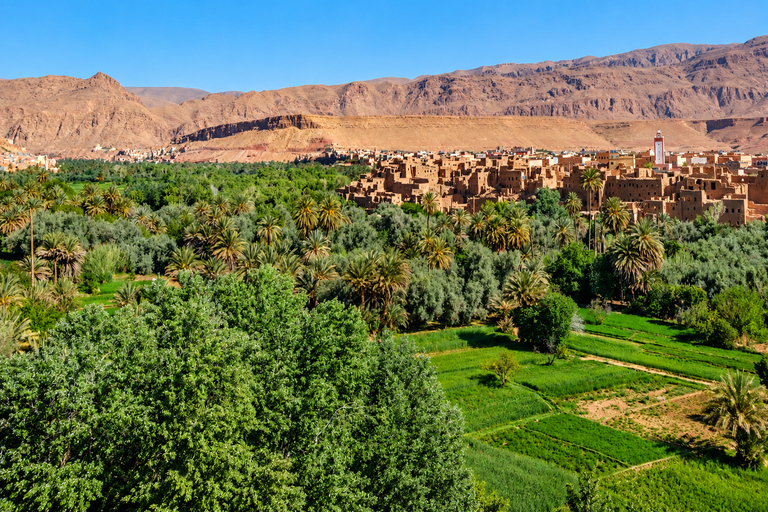 From Ouarzazate: 3-Day Sahara Tour & Camel Trek to Marrakech Sahara Luxury Camp Escape – Recommended