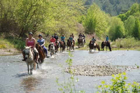 Marmaris National Park: 3-Hour Horse Safari