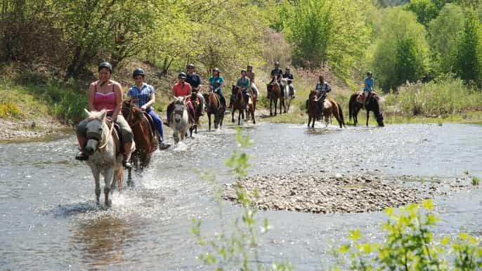 parque nacional de marmaris 3hour horse safari
