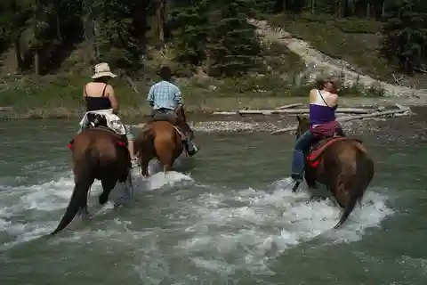 Marmaris: Horse Riding & Safari with Hotel Transfer