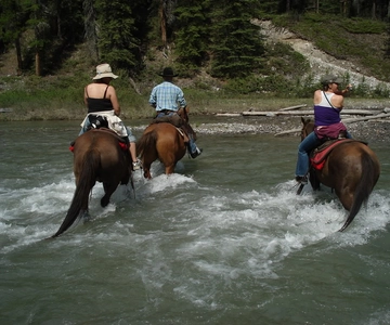 Marmaris: Horse Riding & Safari with Hotel Transfer