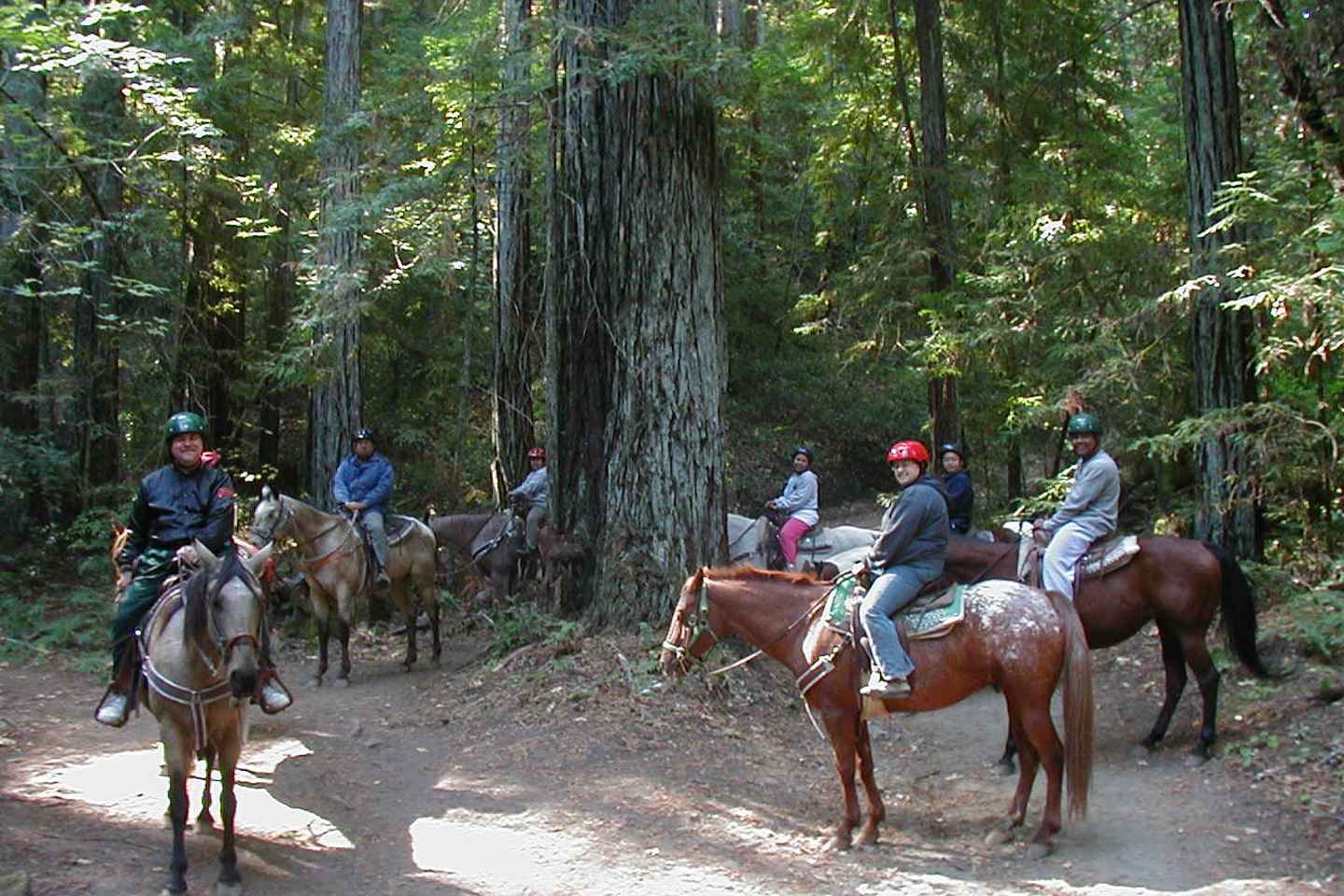 「マルマリスで乗馬体験&送迎付き」