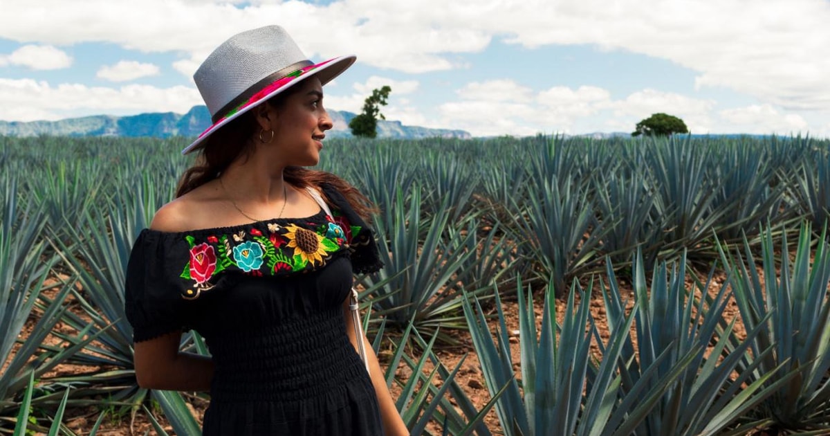 Tequila Tour de día completo para descubrir Amatitán | GetYourGuide