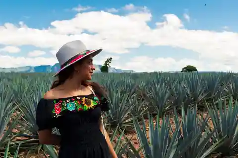 Visite d'une jounée d'Amatitan à la découverte de la Tequila