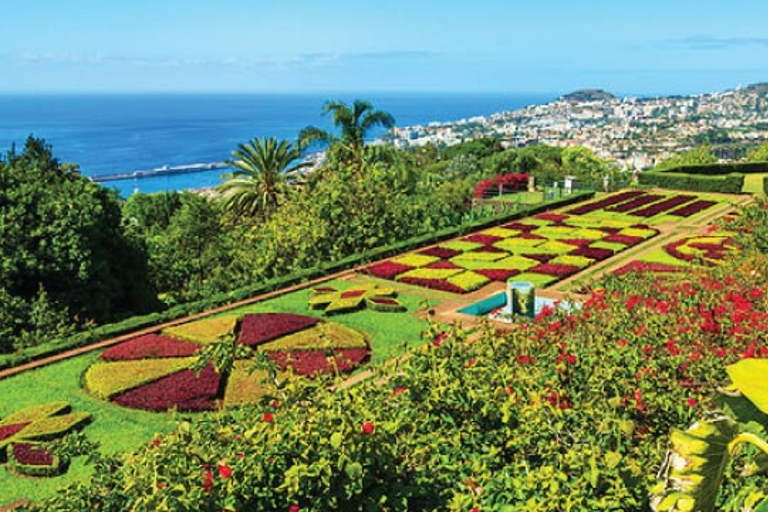 Funchal: Guided Tuk Tuk Tour and Botanical Gardens