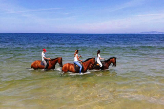 Horse riding on the beach, with private transfer from Lisbon