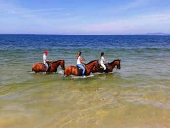 Horse riding on the beach, with private transfer from Lisbon