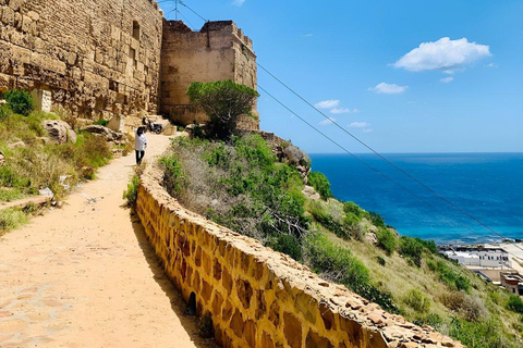 One day trip to Cape Bon (Hammamet, Kelibia & Kerkouane) One day trip to Cap Bon (Hammamet, Kelibia & Kerkouane)