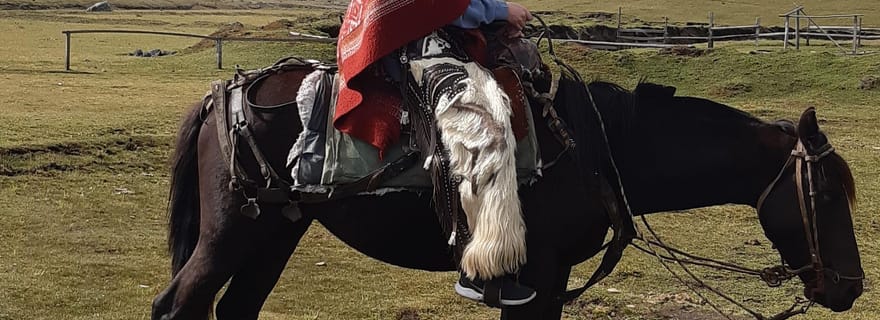 Volcan Cotopaxi : randonnée à cheval d'une journée pour débutants