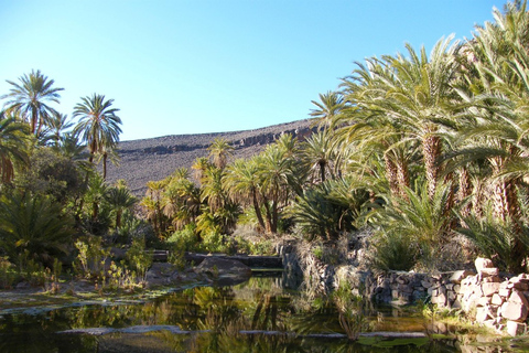 Desde Marrakech: caminata de 2 días a Ait-Benhaddou y Ouarzazate