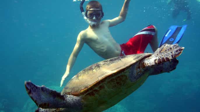 alanya snorkeling and fishing fullday tour