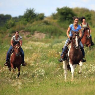 Alanya: Horse Riding Adventure