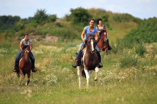 Visit Alanya Horse Riding Adventure in Alanya