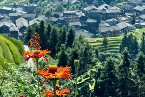 From Guilin/Yangshuo: Longji Rice Terraces Private Tour From Guilin: Longji Rice Terraces Private Tour