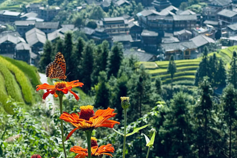 From Guilin/Yangshuo: Longji Rice Terraces Private Tour From Guilin: Longji Rice Terraces Private Tour