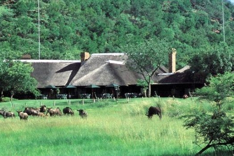 Johannesburg : Safari au parc national Pilanesberg, déjeunerSafari en véhicule ouvert et fermé avec déjeuner