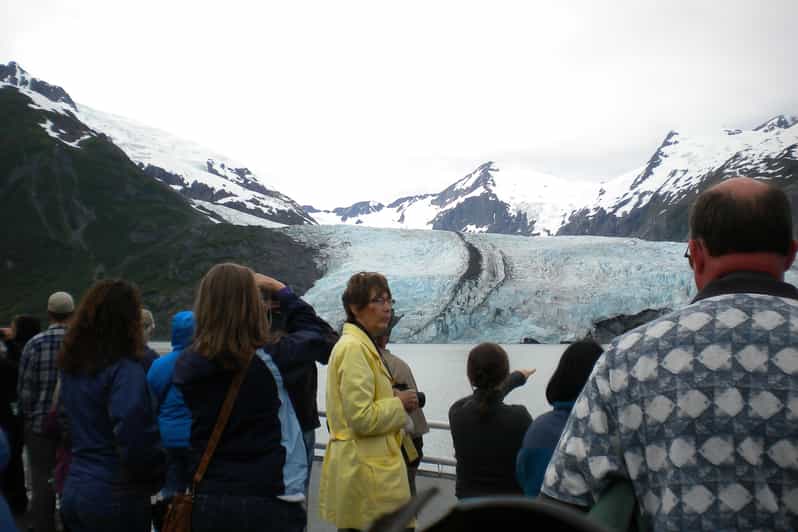 From Anchorage Portage Glacier and Wildlife FullDay Tour GetYourGuide
