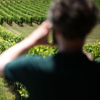 Z Bordeaux: popołudniowa degustacja wina w regionie Medoc