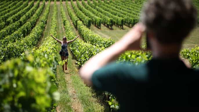 afternoon wine tasting in the medoc region