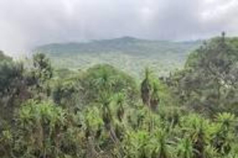 Nairobi: Kipipiri Bamboo Forest Hike with Transfer