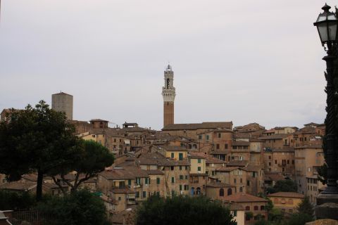 Private Tour: Siena Walking Tour