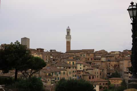 Private Tour: Walking Tour Siena