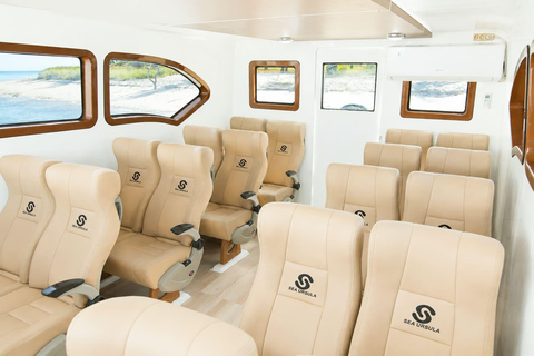 Labuan Bajo: Komodo National Park Adventure with Speedboat