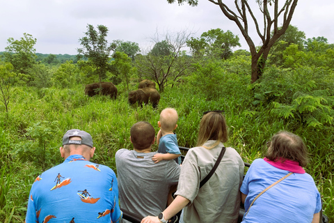 From Sigiriya-Hurulu Eco Park Jeep Safari Excluded tickets