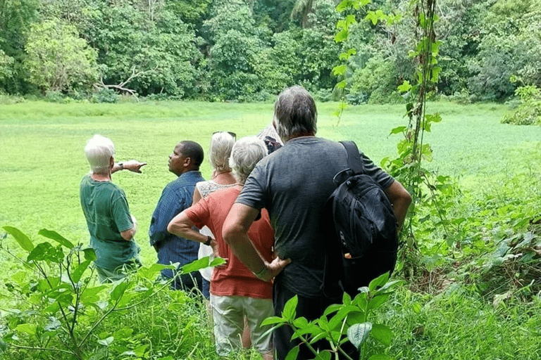 Pemba Island: Makangale Village Tour with Guide