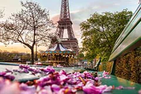 Paris: 4-Hour Guided Tour by Minibus