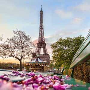 parigi tour guidato della città in minibus di 4 ore