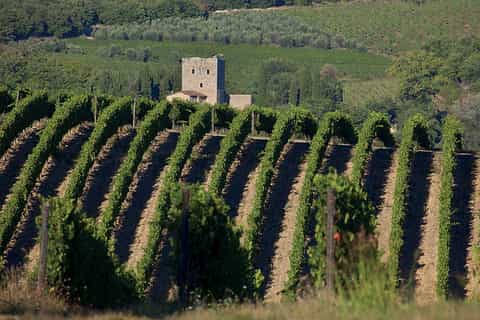 Von Montecatini: San Gimignano, Siena und Chianti-Tour