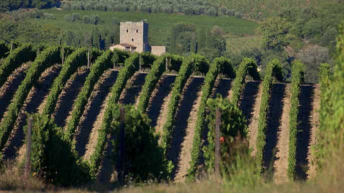 from montecatini san gimignano siena chianti tour