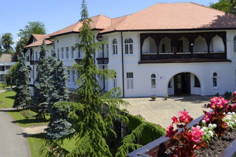 Belgrade: Tršić, Tronoša & Gučevo Private Day Tour