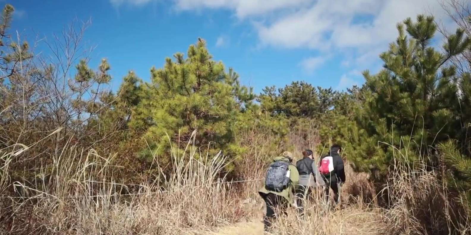 현지인과 함께하는 하이킹 + 막걸리 시음 (800m 숨겨진 산속 마을) 상세 이미지 1