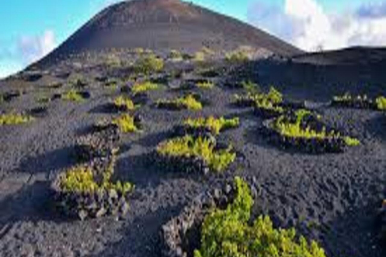 Lanzarote Premium Excursion Lanzarote Premium Excursion 8h