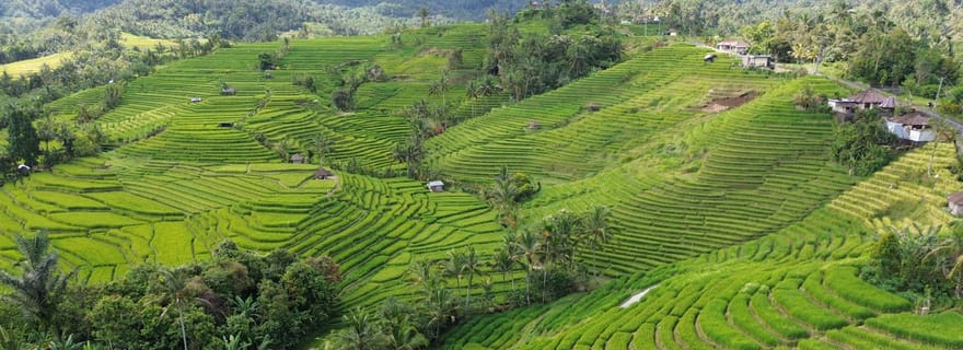 Bali : Randonnée au village de Belimbing avec cascade et visite du temple