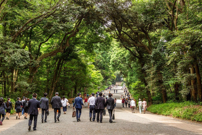 Tokyo avslöjat: En lyxig dag med tradition och teknikTokyo avslöjat: En lyxig dag med tradition och teknik - 7-sitsig