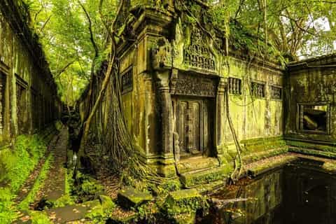 Beng Mealea Temple & Kampong Kleang Day Trip
