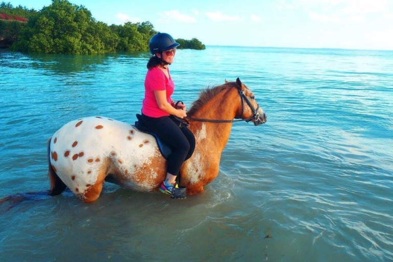 Visite de l'île-prison, randonnée à cheval à Zanzibar