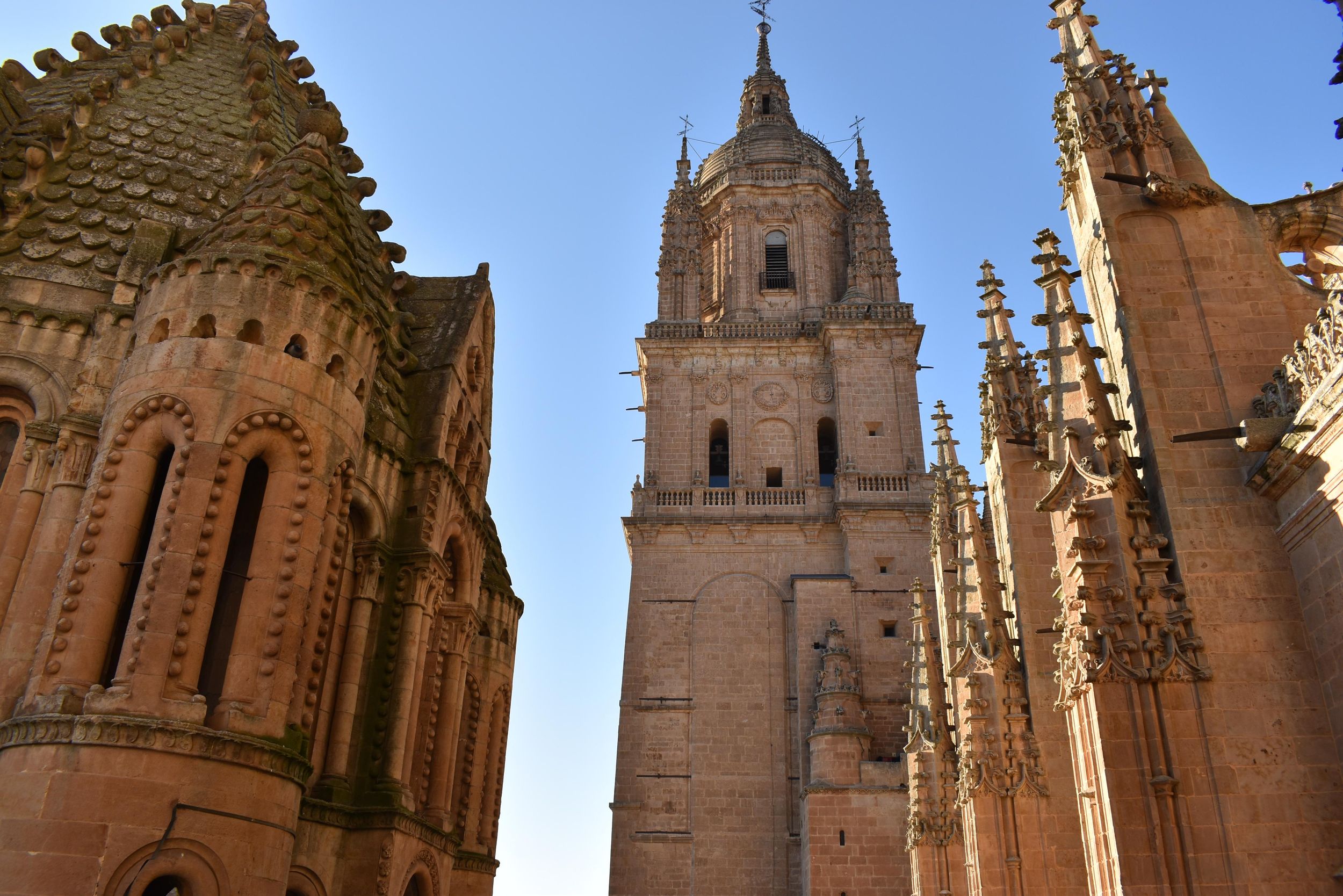 Salamanca: Führung durch die Alte und die Neue Kathedrale mit Türmen