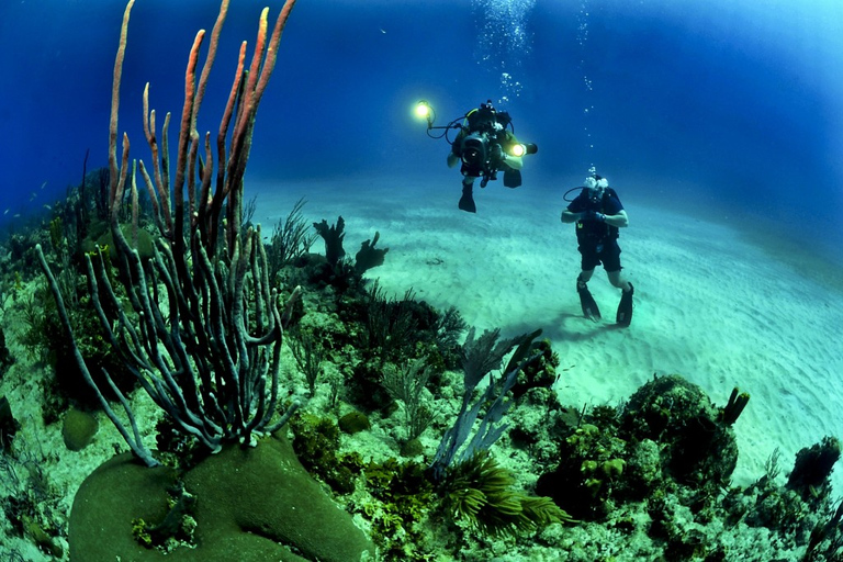 De Phuket: Advanced Open Water Cours de plongée