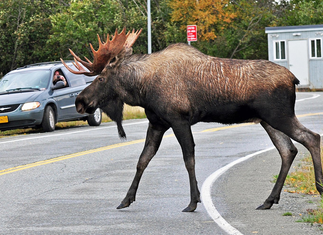 Anchorage: Byrundvisning og højdepunkter