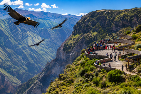 Arequipa: Colca Valley and Flight of the Condor – All-Inclusive Full Day Arequipa: Colca Valley and Flight of the Condor – Full-Day All-Inclusive