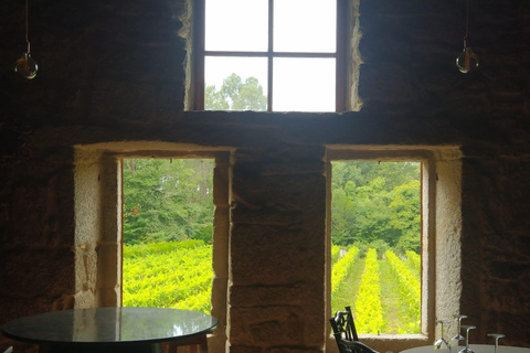 Galicia: Bodega Corisca Winery Tour and Wine Tasting