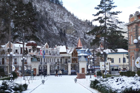 From Tbilisi Bakuriani and Borjomi Day Trip