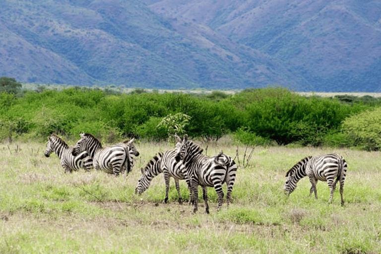 3 Days Exploring Arba Minch: Lakes, Tribes & Nature