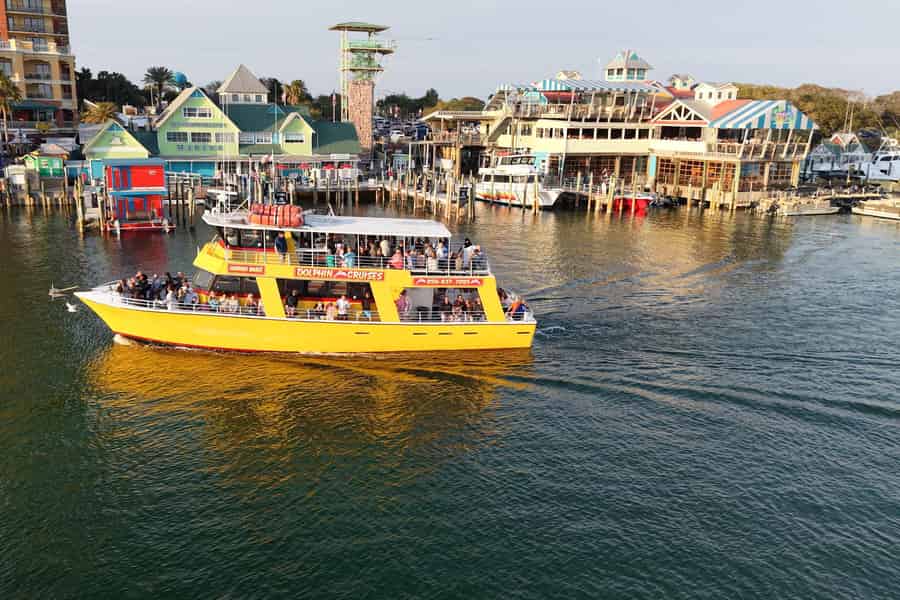 Destin: Delfinbeobachtung auf einem Glasbodenboot. Foto: GetYourGuide