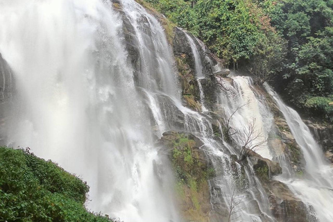 Chiang Mai: Doi Inthanon nationalpark, dagstur till vattenfallGå med i liten grupp med upphämtning från hotell